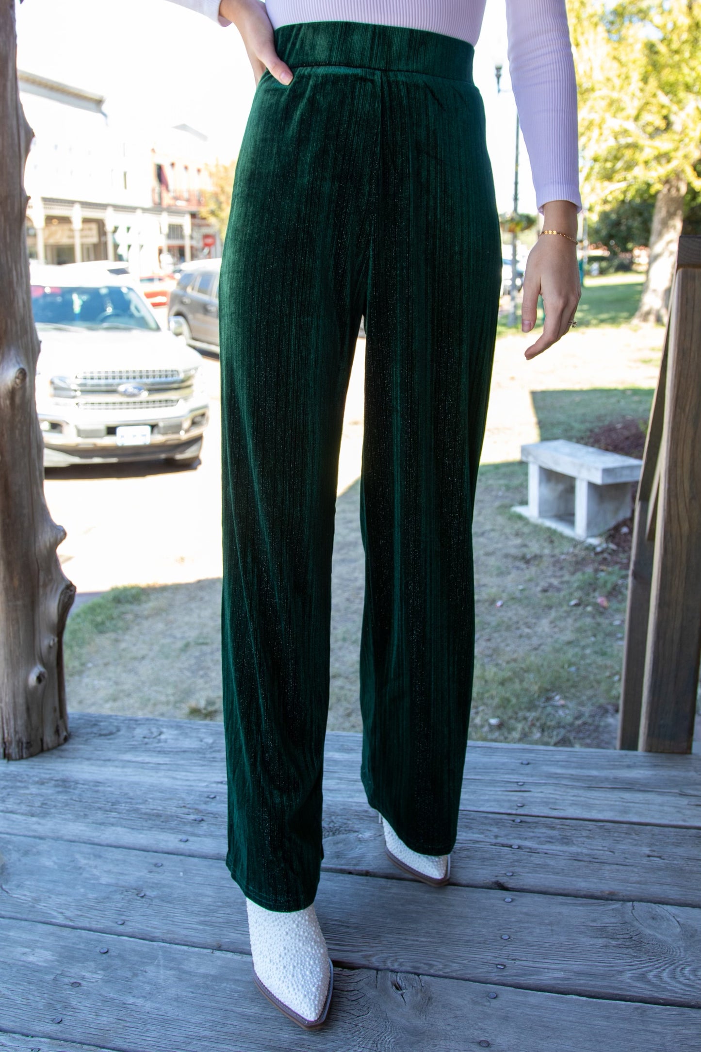 Green Shimmer Accent Velvet Pants